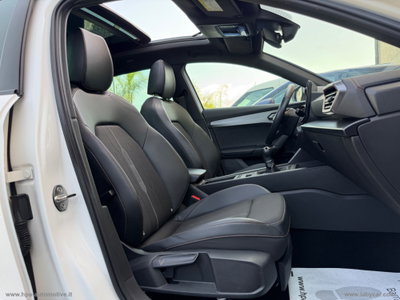 Cupra Formentor Formentor 2.0 TDI (14)