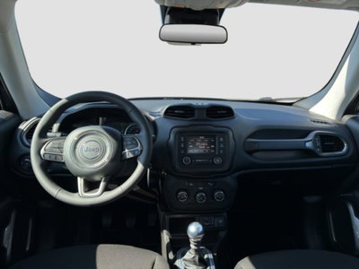 Jeep Renegade 1.6 Mjt 130 CV Longitude (12)