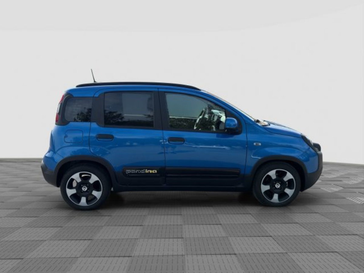 Fiat Panda Cross Cross 1.0 FireFly S&S Hybrid (6)