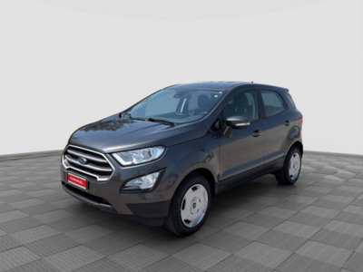Ford EcoSport 1.0 EcoBoost 100 CV Plus usata