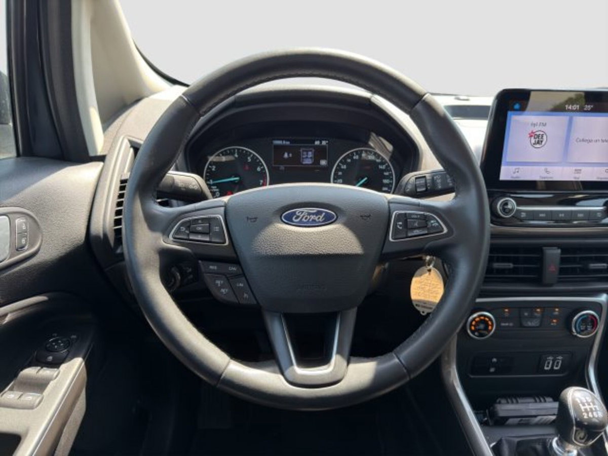 Ford EcoSport 1.0 EcoBoost 100 CV Plus (13)