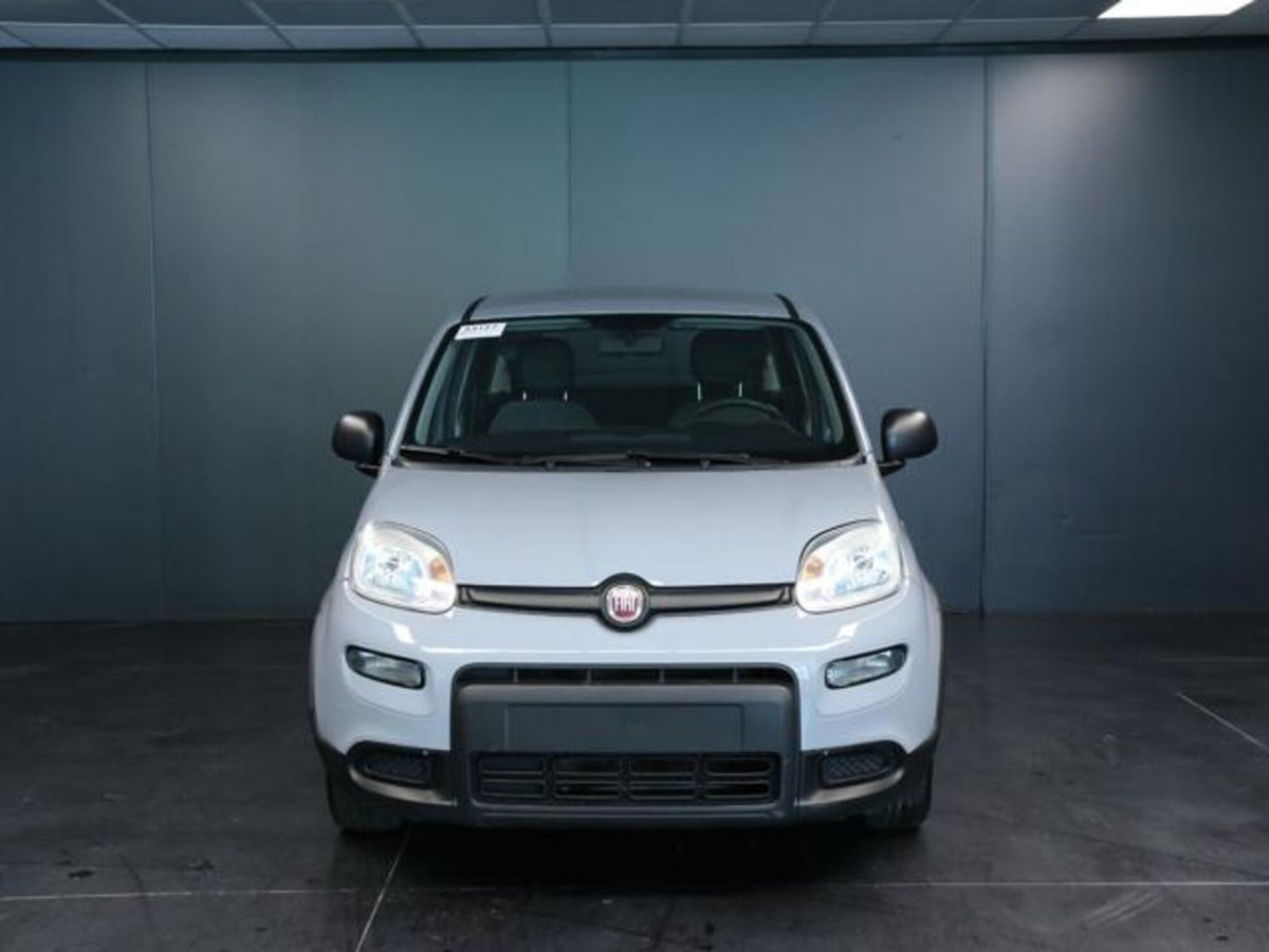 Fiat Panda 1.0 firefly hybrid s&s 70cv 5p.ti (2)