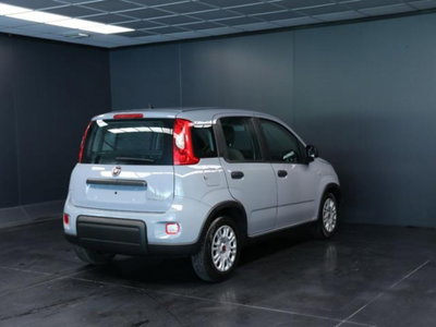 Fiat Panda 1.0 firefly hybrid s&s 70cv 5p.ti (3)