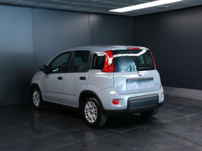 Fiat Panda 1.0 firefly hybrid s&s 70cv 5p.ti (5)