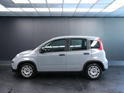 Fiat Panda 1.0 firefly hybrid s&s 70cv 5p.ti (7)