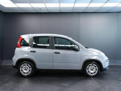 Fiat Panda 1.0 firefly hybrid s&s 70cv 5p.ti (8)