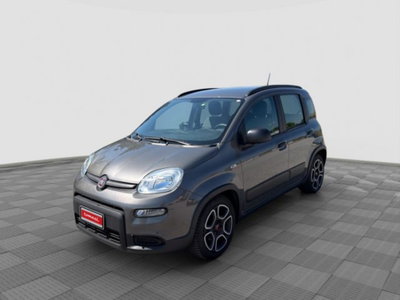 Fiat Panda 1.0 FireFly S&S Hybrid City Cross usata