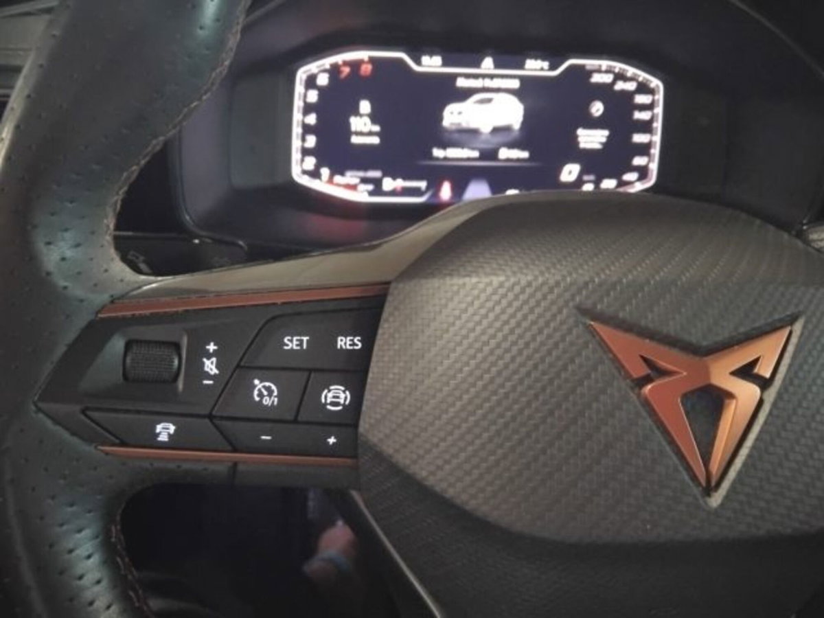Cupra Formentor Formentor 1.5 TSI (19)