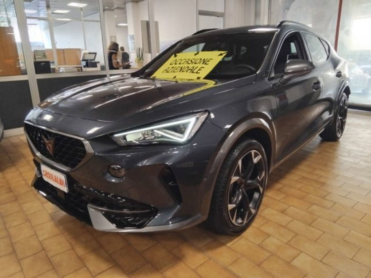 Cupra Formentor Formentor 1.5 TSI (3)