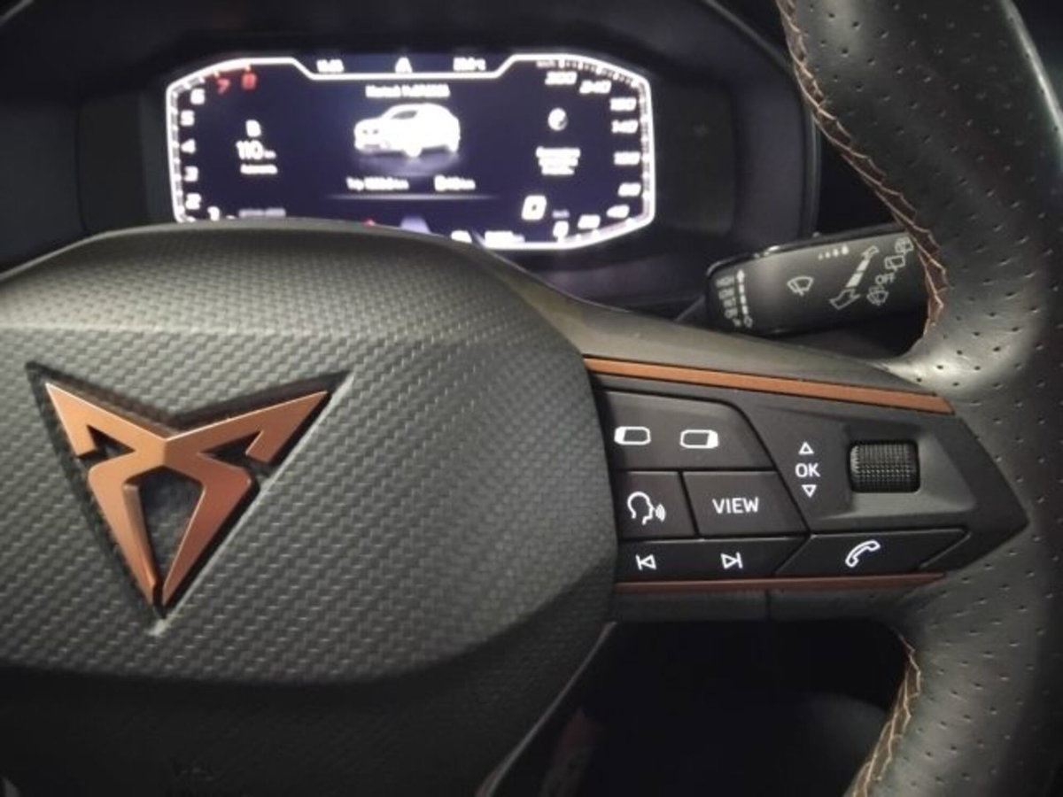 Cupra Formentor Formentor 1.5 TSI (18)