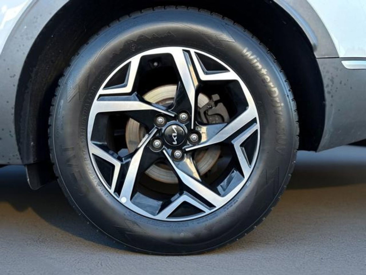 Kia Sportage 1.6 CRDi MHEV Business (15)