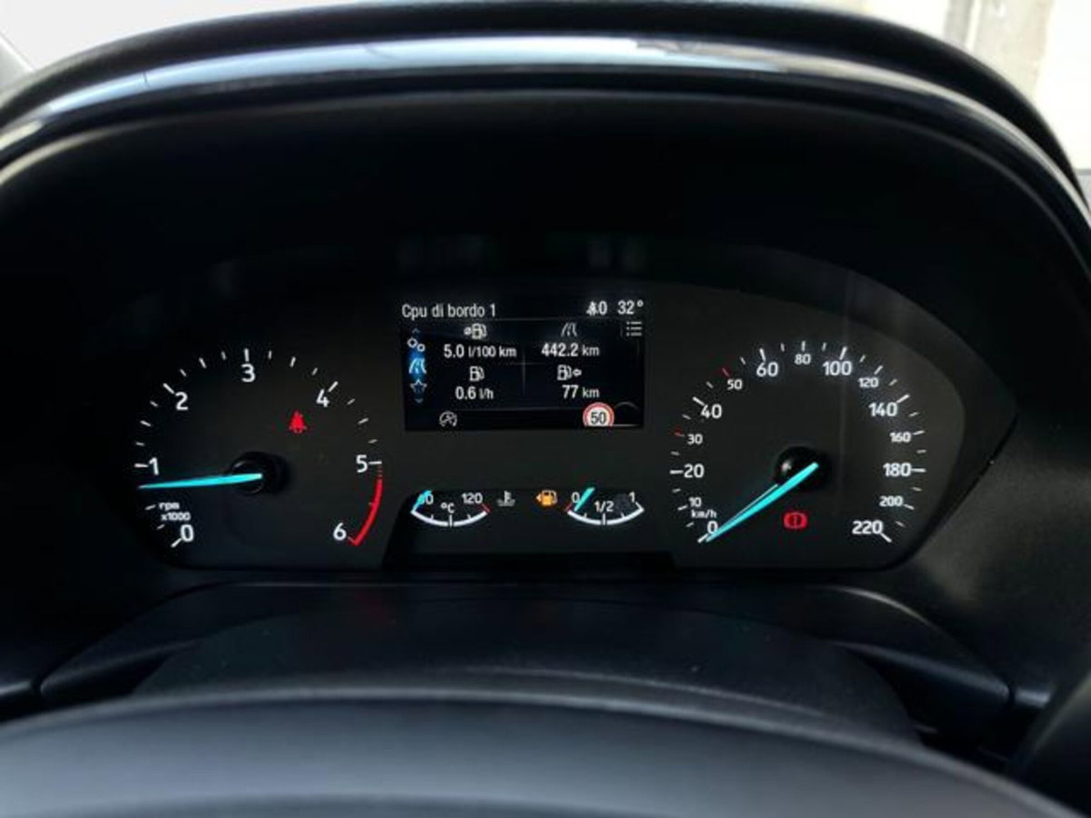 Ford Puma 1.5 EcoBlue 120 CV S&S Titanium (9)