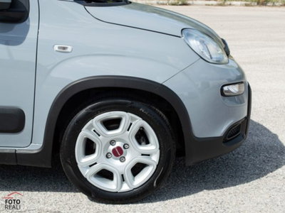 Fiat Panda 1.0 firefly hybrid s&s 70cv 5p.ti (20)