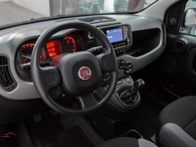 Fiat Panda 1.0 firefly hybrid s&s 70cv 5p.ti (9)
