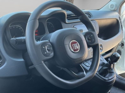 Fiat Panda van 1.0 hybrid Street 70cv 4p.ti serie 4 E6d (11)