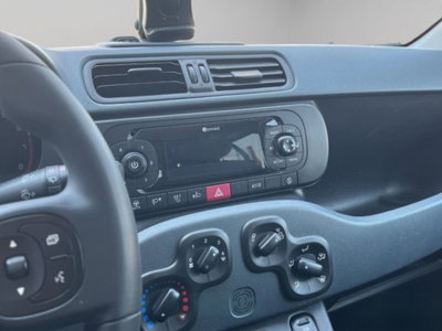 Fiat Panda van 1.0 hybrid Street 70cv 4p.ti serie 4 E6d (14)