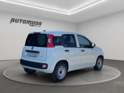 Fiat Panda van 1.0 hybrid Street 70cv 4p.ti serie 4 E6d (4)