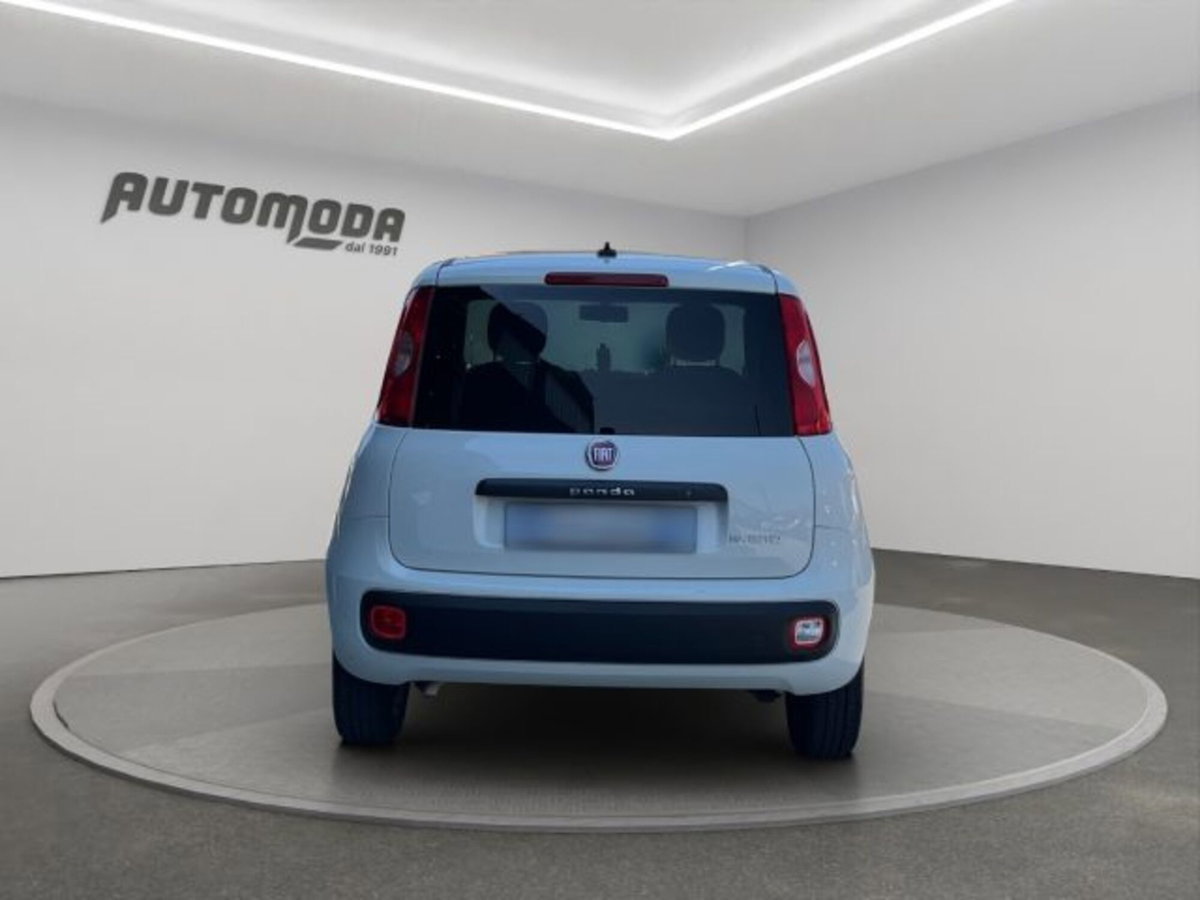 Fiat Panda van 1.0 hybrid Street 70cv 4p.ti serie 4 E6d (5)