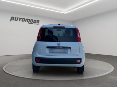 Fiat Panda van 1.0 hybrid Street 70cv 4p.ti serie 4 E6d (5)