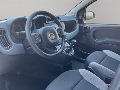 Fiat Panda van 1.0 hybrid Street 70cv 4p.ti serie 4 E6d (7)