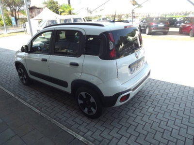 Fiat Panda Cross 1.0 firefly hybrid Cross s&s 70cv 5p.ti (4)