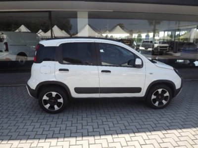 Fiat Panda Cross 1.0 firefly hybrid Cross s&s 70cv 5p.ti (8)