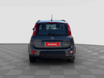 Fiat Panda 1.0 FireFly S&S Hybrid City Cross (4)