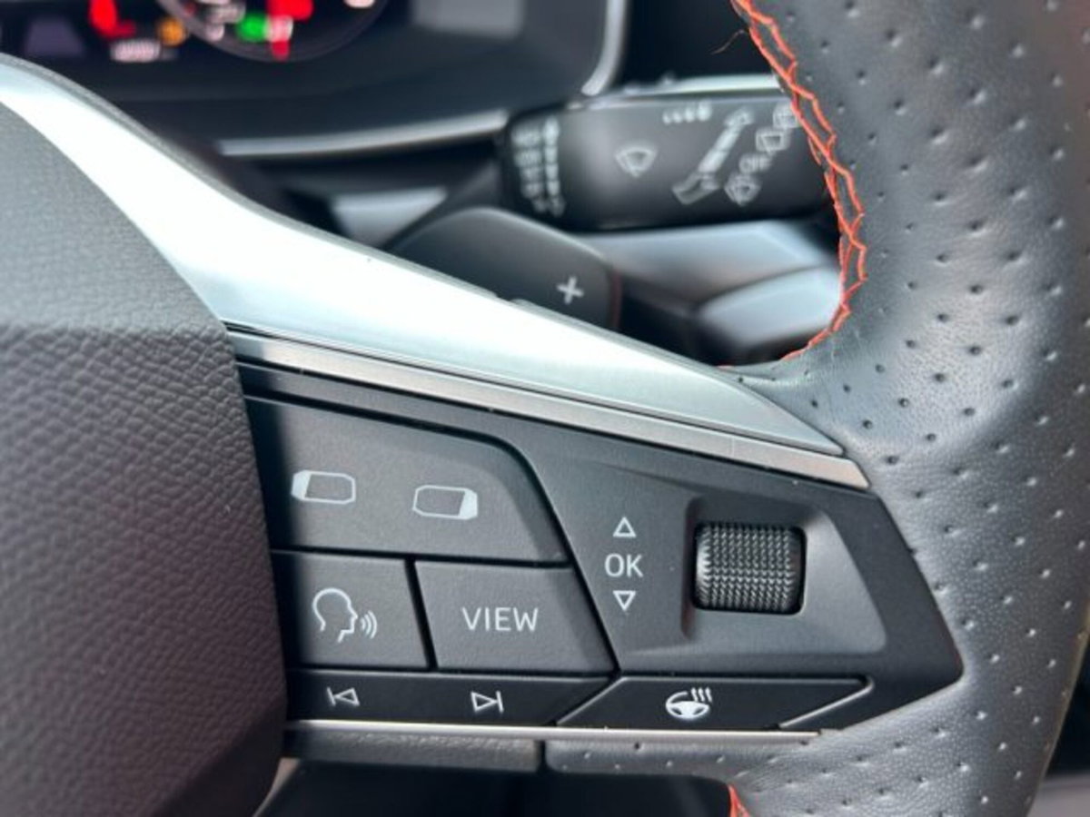 SEAT Leon 1.5 TGI DSG FR (12)