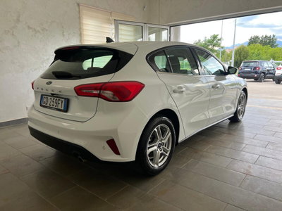 Ford Focus 1.5 EcoBlue 95 CV 5p. Business (6)