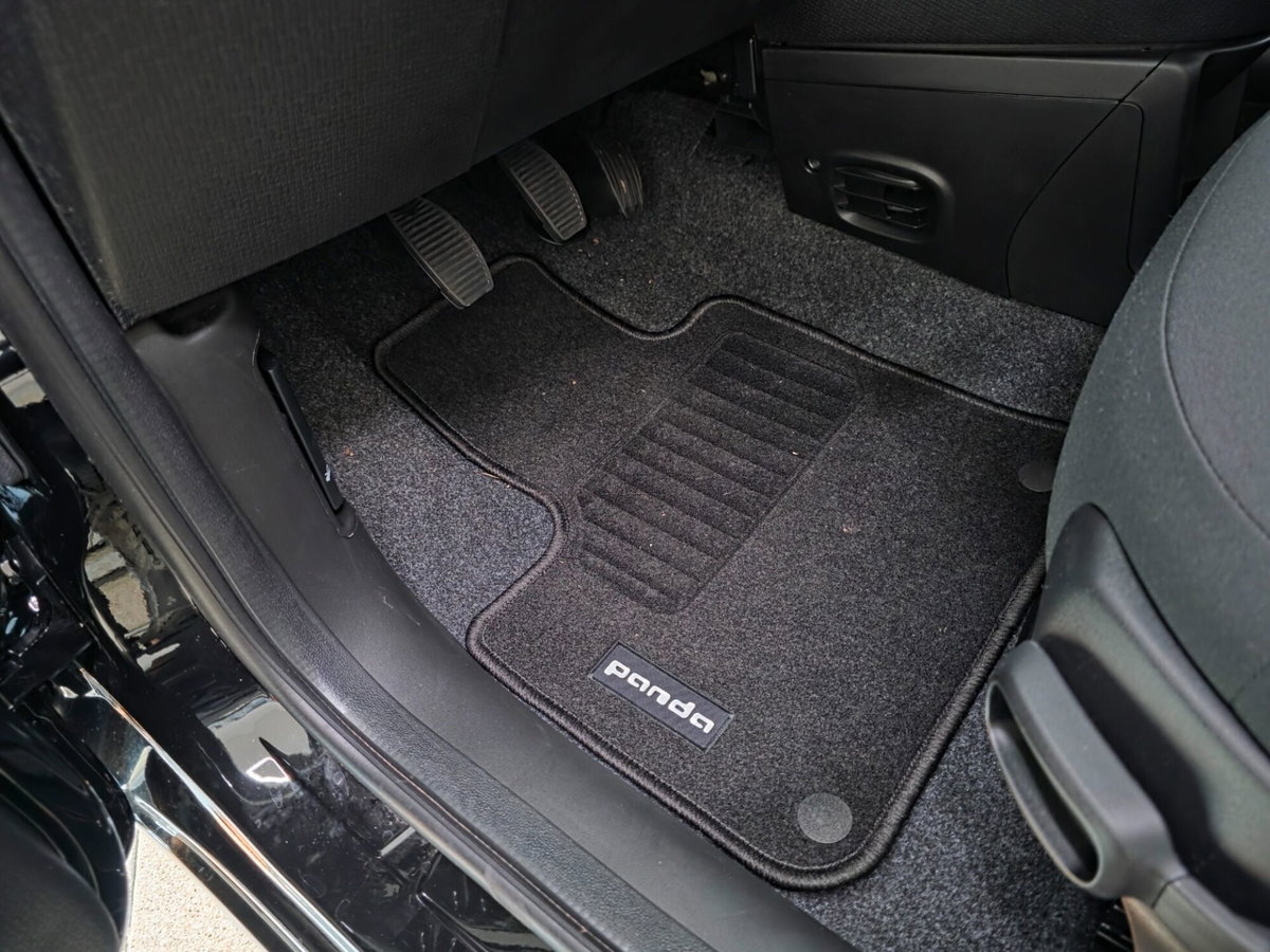 Fiat Panda 1.0 FireFly S&S Hybrid (10)
