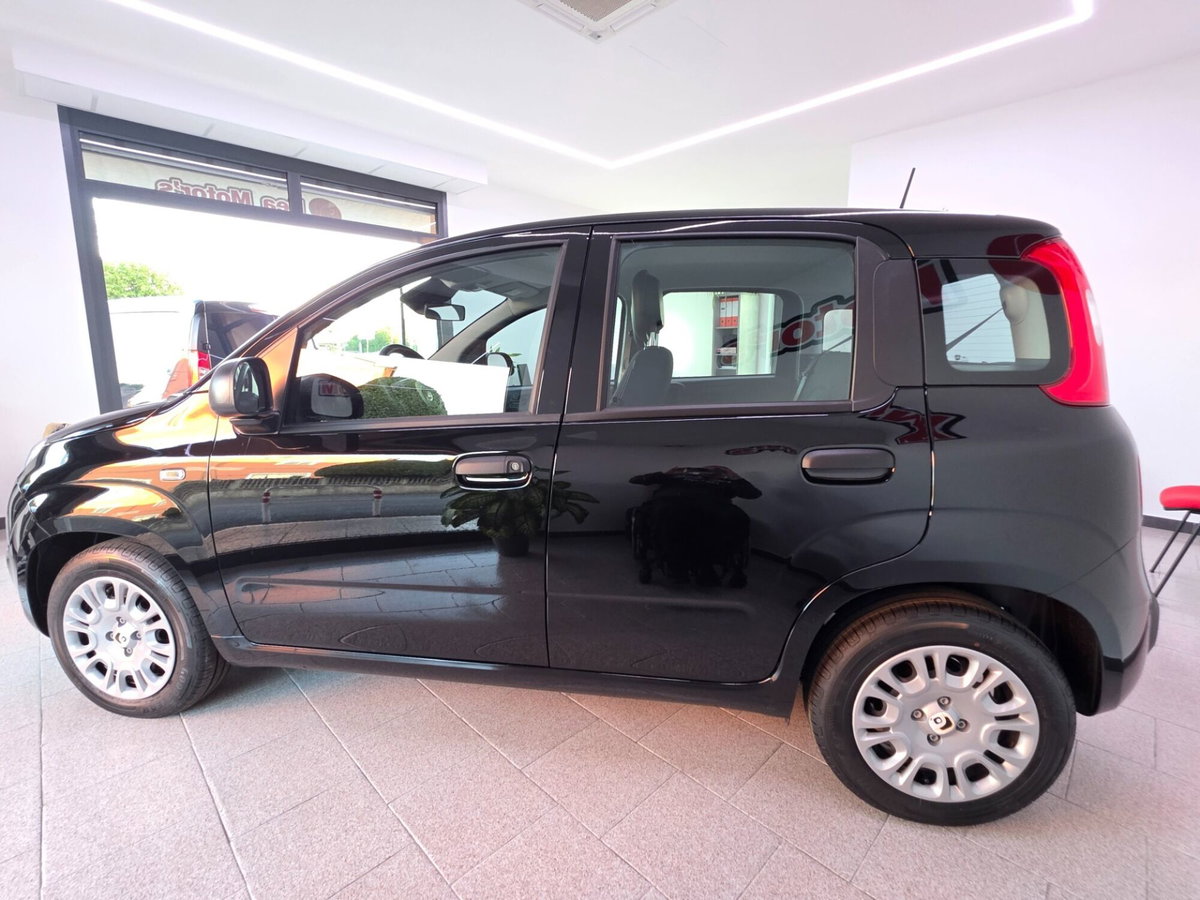Fiat Panda 1.0 FireFly S&S Hybrid (14)