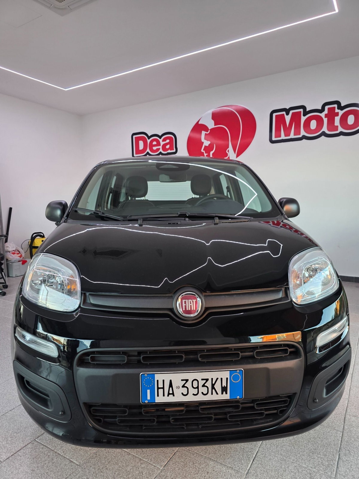 Fiat Panda 1.0 FireFly S&S Hybrid (2)