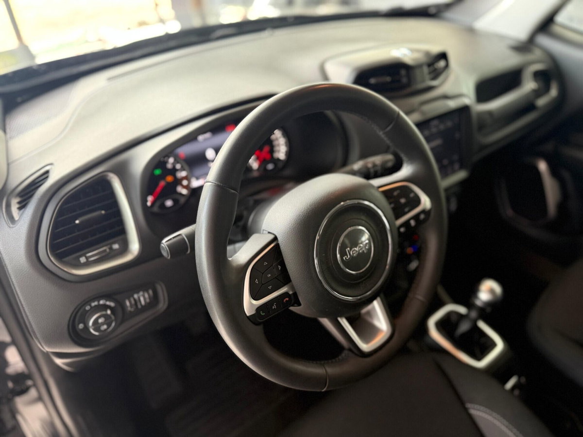 Jeep Renegade 1.6 Mjt 130 CV Limited (13)