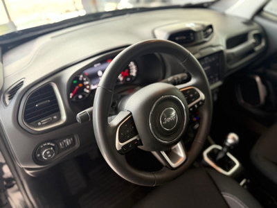 Jeep Renegade 1.6 Mjt 130 CV Limited (13)