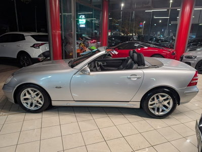 Mercedes-Benz SLK 200 Kompressor cat (15)