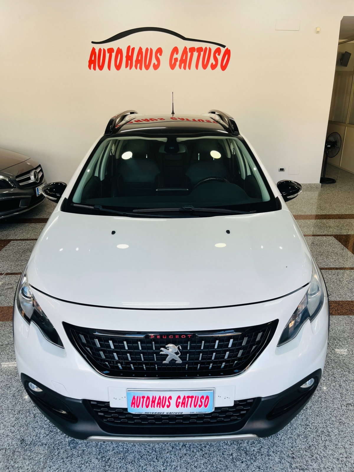Peugeot 2008 100 GT Line (2)