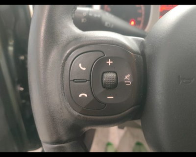 Fiat Panda Cross Cross 0.9 TwinAir Turbo S&S 4x4 (15)