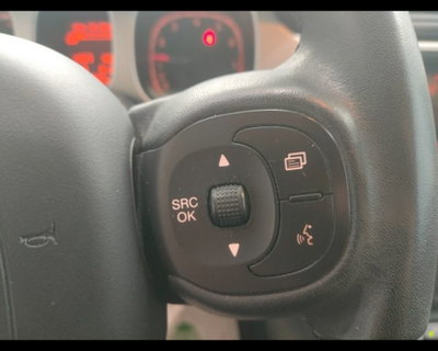 Fiat Panda Cross Cross 0.9 TwinAir Turbo S&S 4x4 (16)