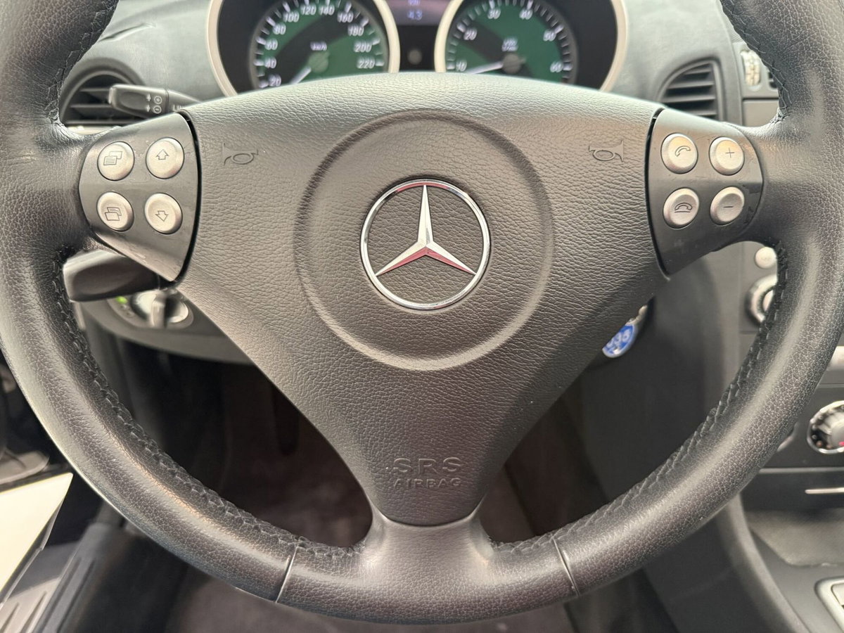 Mercedes-Benz SLK 280 cat (10)