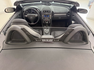 Mercedes-Benz SLK 280 cat (12)