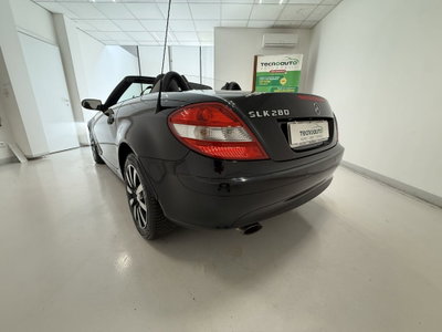 Mercedes-Benz SLK 280 cat (13)
