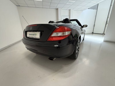 Mercedes-Benz SLK 280 cat (16)