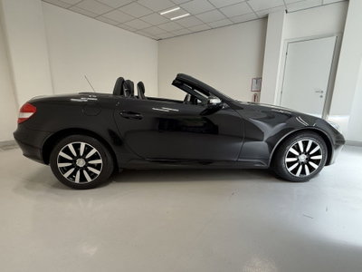 Mercedes-Benz SLK 280 cat (17)