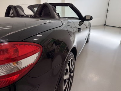 Mercedes-Benz SLK 280 cat (19)