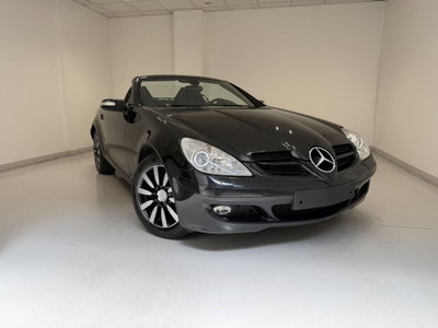 Mercedes-Benz SLK 280 cat (2)