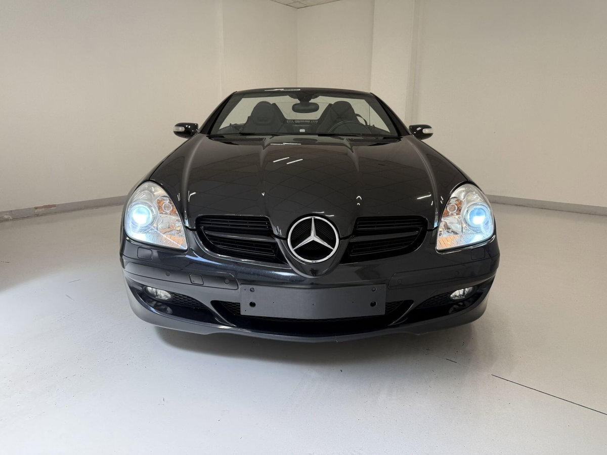 Mercedes-Benz SLK 280 cat (3)