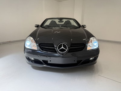 Mercedes-Benz SLK 280 cat (3)