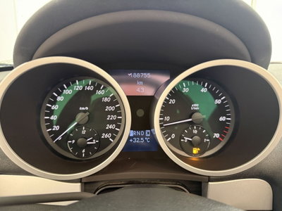Mercedes-Benz SLK 280 cat (4)