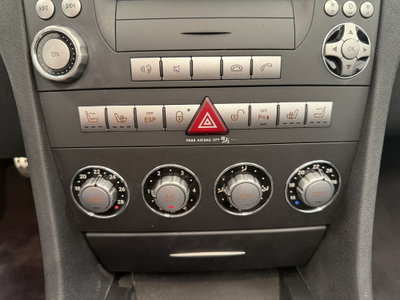 Mercedes-Benz SLK 280 cat (6)