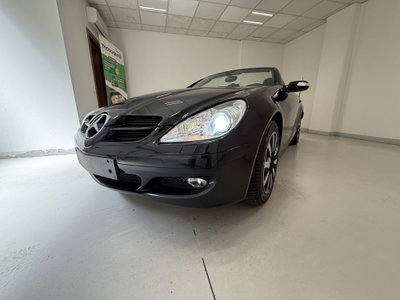 Mercedes-Benz SLK 280 cat (7)